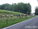 aok_inline_tour_sonntag_06082006_100_6688.jpg