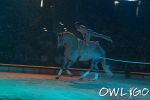 apassionata-seidenstickerhalle-bielefeld-sonntag-22042007_t3_DSCF0288.jpg
