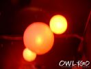 irrlicht_samstag_05112005_0640.jpg
