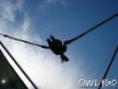 marktkauf_ballofiesta_bielefeld_11bis13082006_DSC00014.jpg