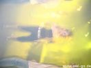 nachtarena_14.08.04_teil_1 210.jpg
