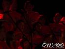 100_8968.jpg